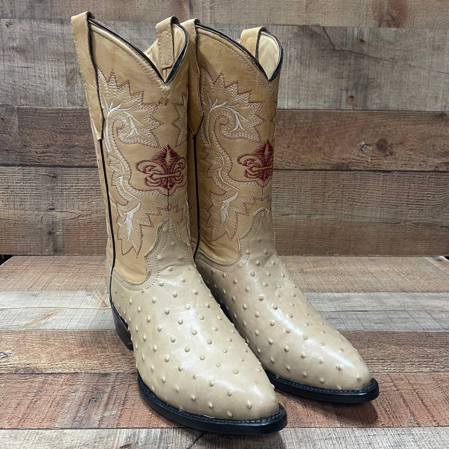 Men's Cowboy Western Ostrich Print Pointed Boots Bota Avestruz Vaquera Puntal Est.099