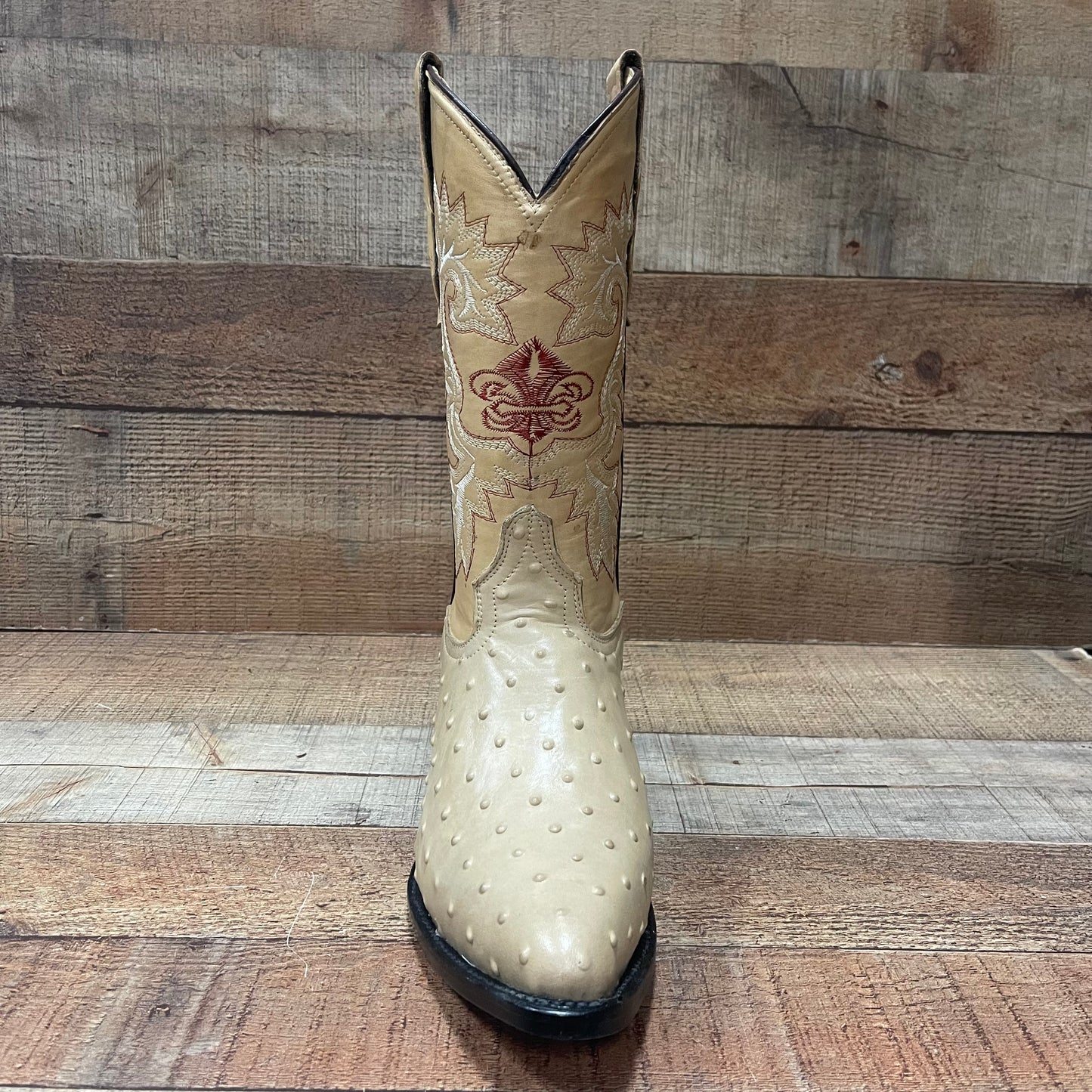 Men's Cowboy Western Ostrich Print Pointed Boots Bota Avestruz Vaquera Puntal Est.099