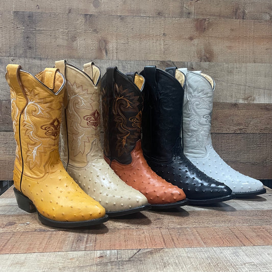 Men's Cowboy Western Ostrich Print Pointed Boots Bota Avestruz Vaquera Puntal Est.099