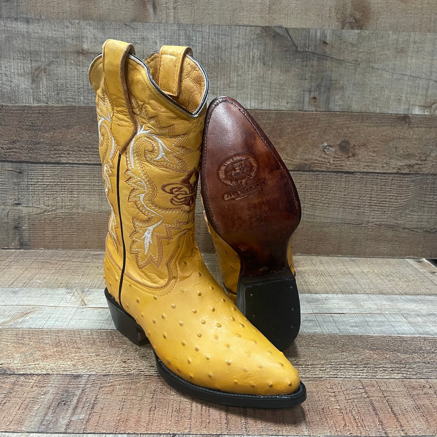 Men's Cowboy Western Ostrich Print Pointed Boots Bota Avestruz Vaquera Puntal Est.099