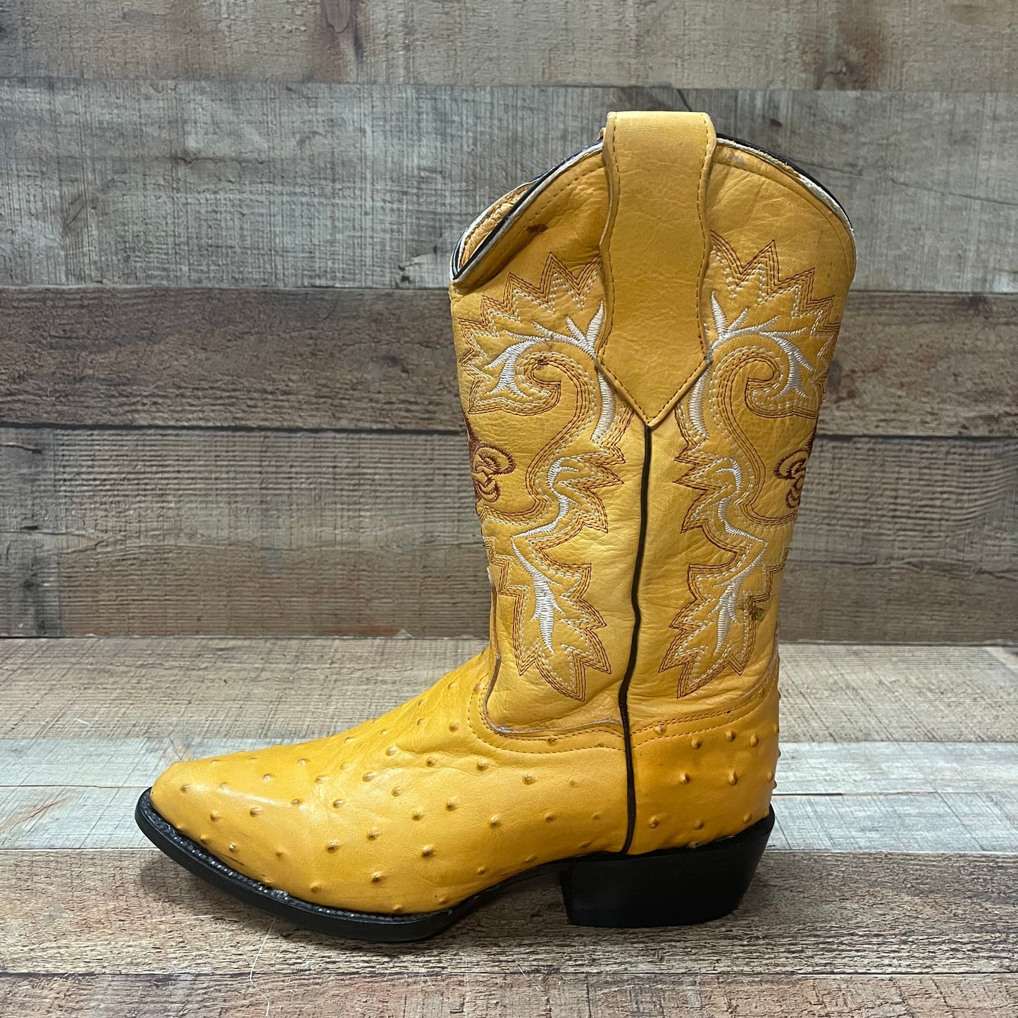 Men's Cowboy Western Ostrich Print Pointed Boots Bota Avestruz Vaquera Puntal Est.099