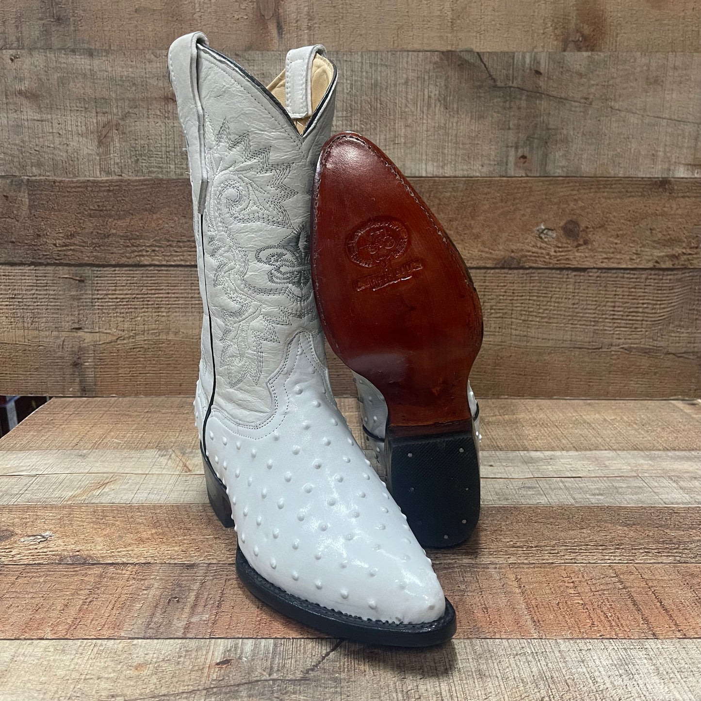 Men's Cowboy Western Ostrich Print Pointed Boots Bota Avestruz Vaquera Puntal Est.099